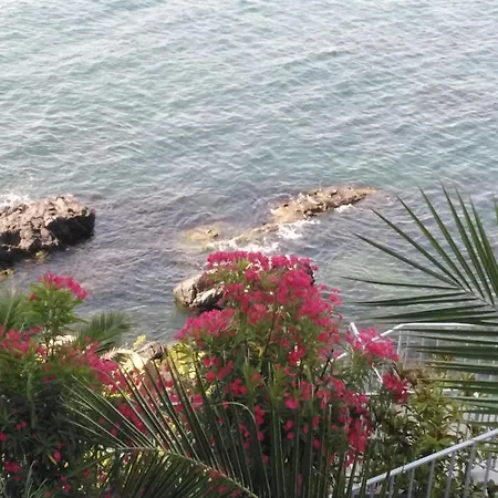 Sea Dream Above The Sea *